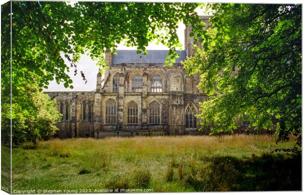 Winchester Cathedral Canvas Print by Stephen Young