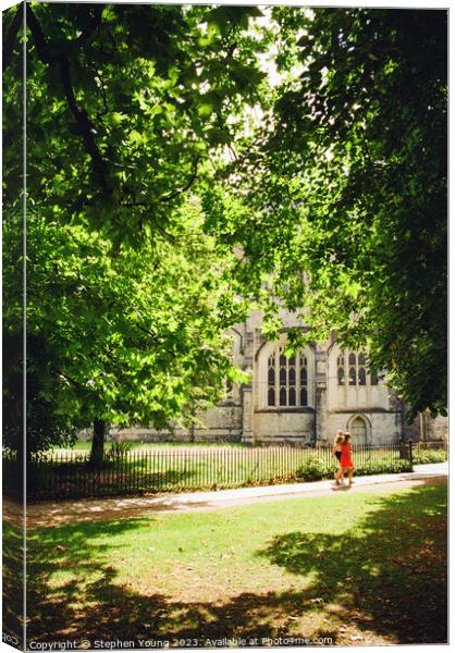 Winchester Cathedral Canvas Print by Stephen Young