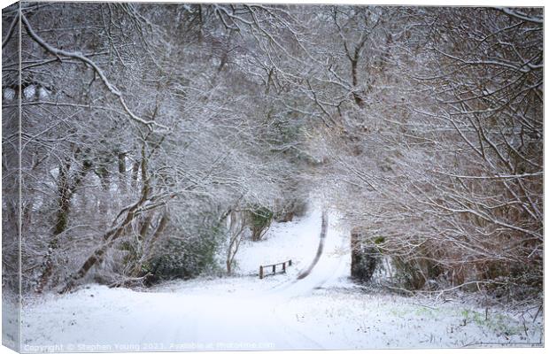 Winter's Whisper: English Countryside Lane Canvas Print by Stephen Young