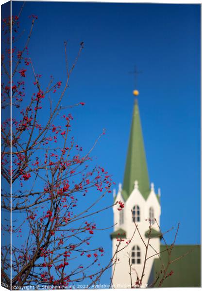 Winter Tranquility: Reykjavik's Blurred Church and Red Berries Canvas Print by Stephen Young