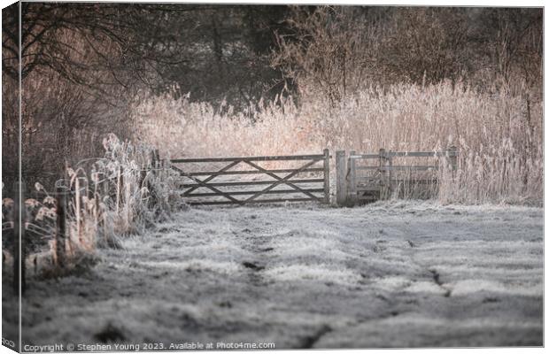 Winter Countryside Canvas Print by Stephen Young