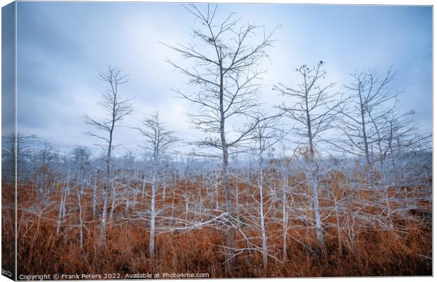 Plant tree Canvas Print by Frank Peters