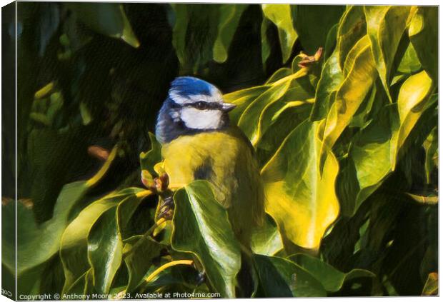 Bird In The Bush Canvas Print by Anthony Moore