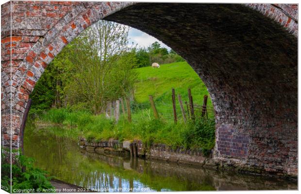 Bridge No.1 Grand Union Canal. Canvas Print by Anthony Moore