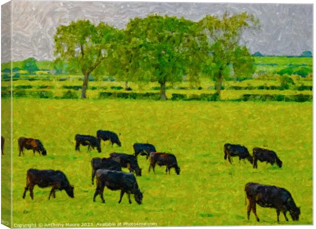 Evening Grazing. Canvas Print by Anthony Moore