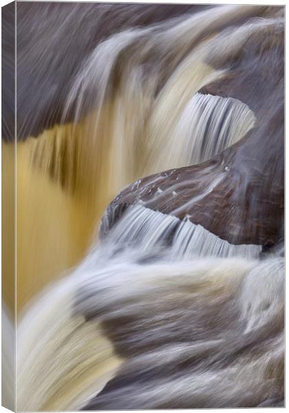 Michigan Waterfall Detail Canvas Print by David Roossien