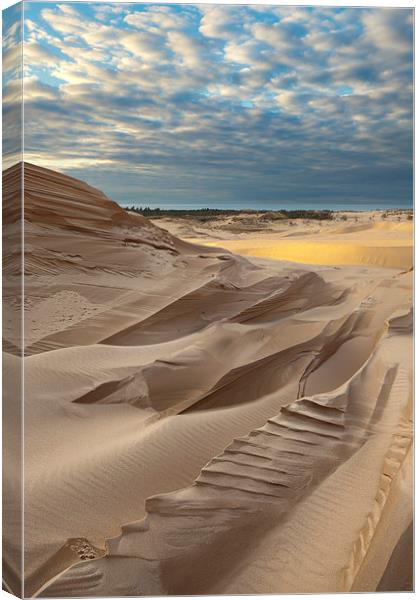 Sand Dune And Clouds, Lake Michigan Canvas Print by David Roossien