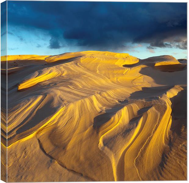 Dune And Squall, Lake Michigan Canvas Print by David Roossien