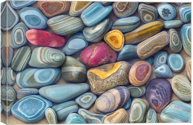 Striated Stones, Lake Josephine Canvas Print by David Roossien