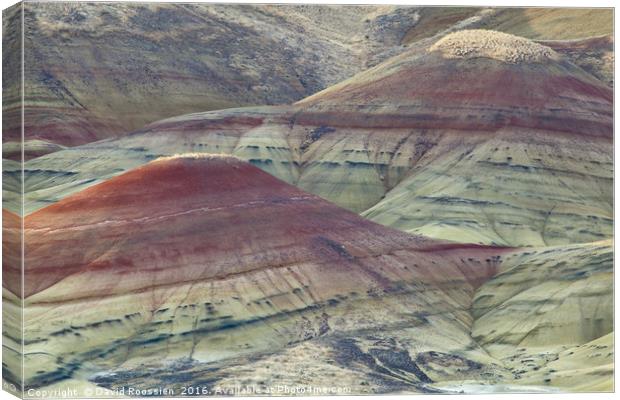 Painted Hills of Oregon Canvas Print by David Roossien
