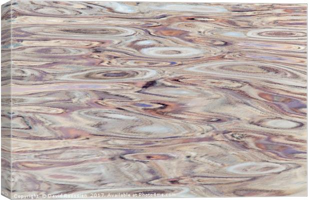 Spinning Reflections #2, Green River, Utah, USA Canvas Print by David Roossien