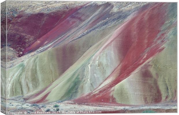 Painted Layers, Painted Hills of Oregon, USA Canvas Print by David Roossien