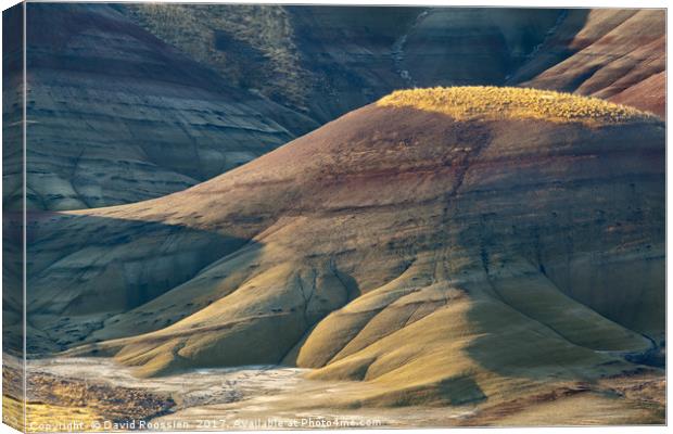 Painted Shadows, Painted Hills of Oregon, USA Canvas Print by David Roossien