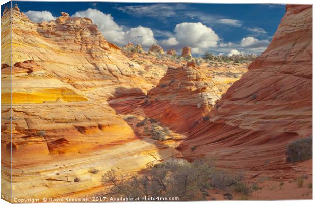 Sandstone Wash, Coyote Buttes, Southern Utah, USA Canvas Print by David Roossien