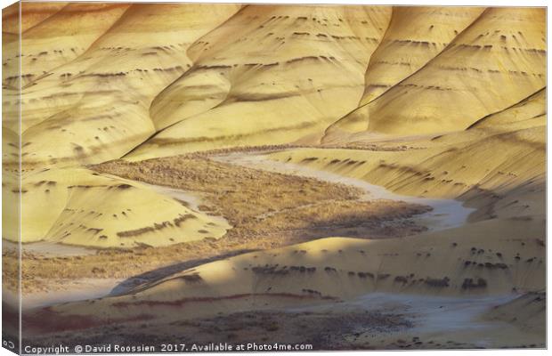 Sunlit Valley, Painted Hills, Oregon, USA Canvas Print by David Roossien
