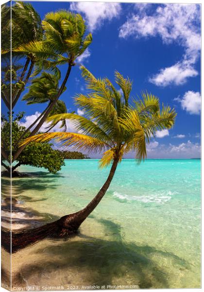Bora Bora beach palms in sunlight Luxury beach  Canvas Print by Spotmatik 