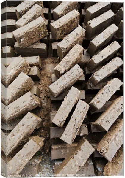 Handmade Indonesian manufactured mud and straw bricks Asia Canvas Print by Spotmatik 