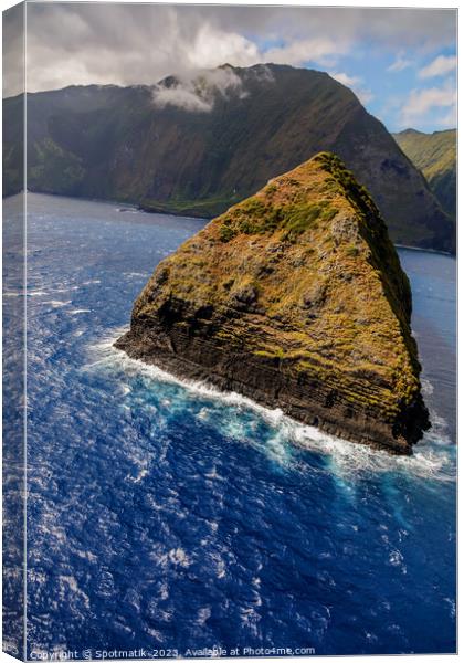 Aerial shoreline view of volcanic sea cliffs Molokai  Canvas Print by Spotmatik 