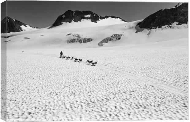 Aerial view of Alaska dogsledding team Chugach Mountains Canvas Print by Spotmatik 