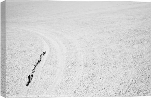 Aerial view sledging dog handler Chugach mountains America Canvas Print by Spotmatik 