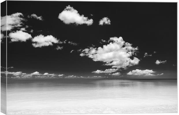 View of blue ocean and white sandy beach Canvas Print by Spotmatik 