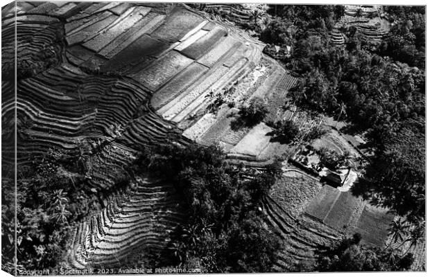 Aerial Bali Indonesia Ubud plantation rice terraces Asia Canvas Print by Spotmatik 