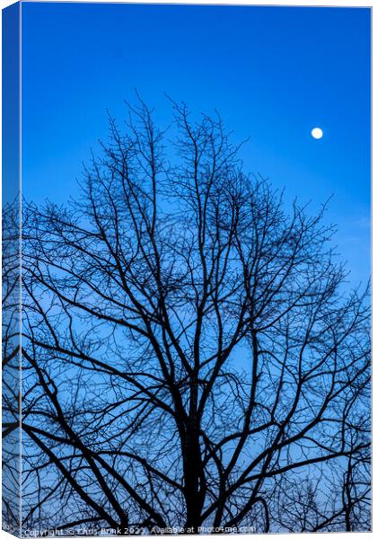Bare tree at dusk with full moon Canvas Print by Chris Brink