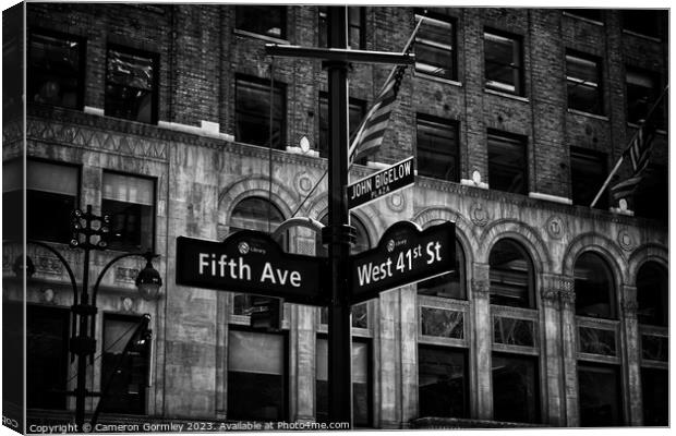 Fifth Avenue, NYC Canvas Print by Cameron Gormley