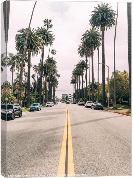 Beverly Hill Palm Trees Canvas Print by Benjamin Brewty