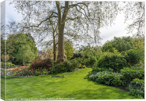 Flowers In St James's Park Canvas Print by Benjamin Brewty