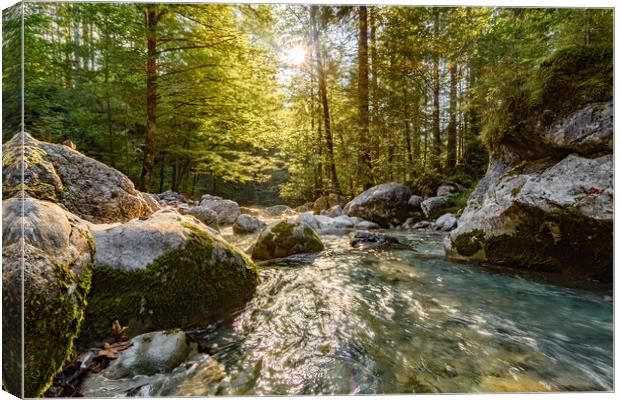 Little river between rocks in the forest Canvas Print by Balázs Tóth