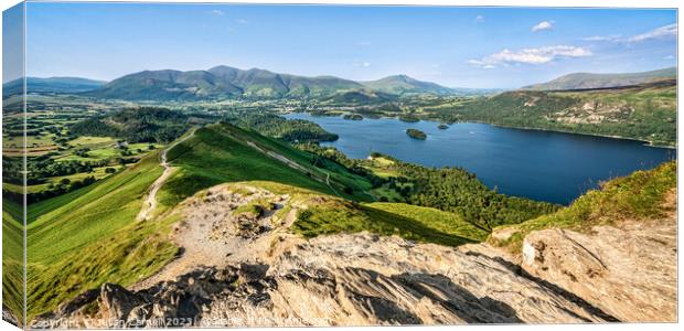 Views of Borrowdale and Derwent Water with Keswick Canvas Print by Julian Carnell