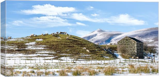 Outdoor mountain St John's in the Vale Lake District Canvas Print by Julian Carnell