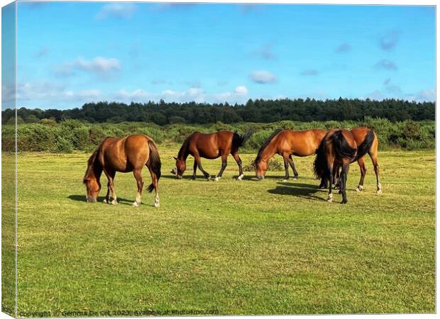 Wild ponies in The New Forest Canvas Print by Gemma De Cet