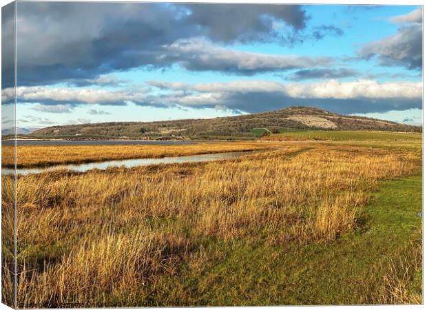 Views of Warton Crag and Morecambe Bay Canvas Print by Gemma De Cet