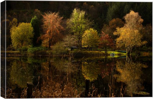 Reflections on Loch Ard Canvas Print by Neil McKellar