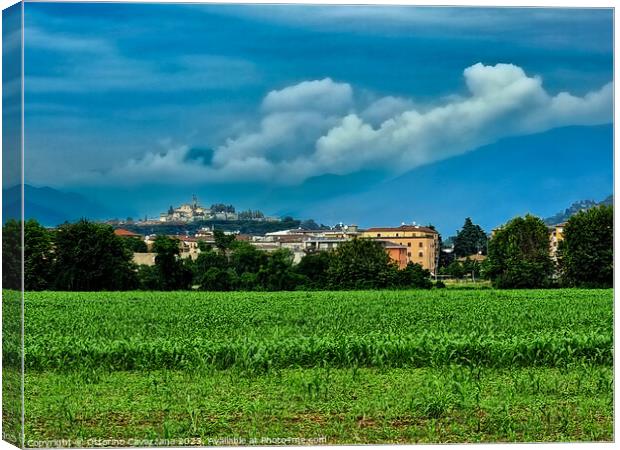 field  with trees and a castle Canvas Print by Ottorino Cavazzana