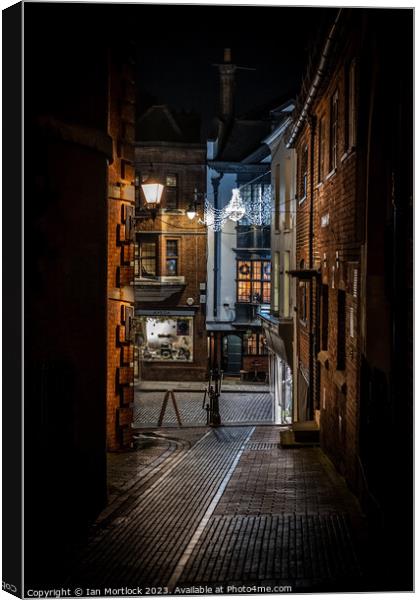 Bricks and cobbles along the street Canvas Print by Ian Mortlock