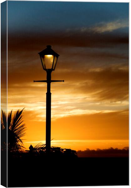 Silhouette of a street lamp Canvas Print by Fabrizio Troiani