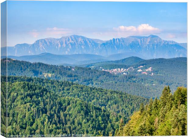 Beautiful landscape in Carpathian Mountains of Romania. Canvas Print by Cristi Croitoru