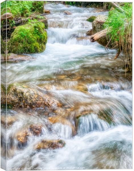 Stream flowing smoothly in the forest. Canvas Print by Cristi Croitoru