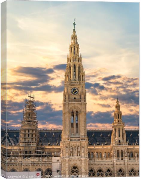 Rathaus town hall in Vienna, Austria Canvas Print by Cristi Croitoru