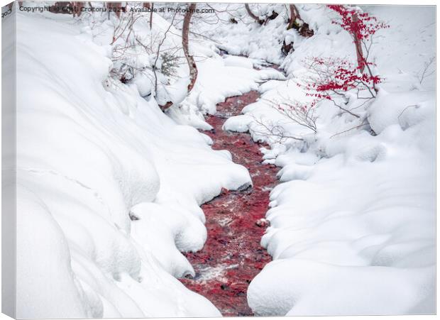 Blood red stream. Canvas Print by Cristi Croitoru