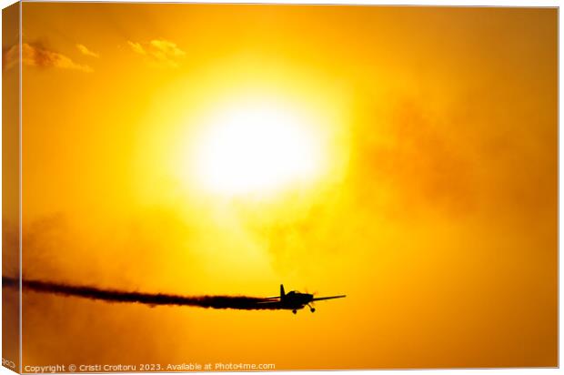 Airplane flying at sunset.  Canvas Print by Cristi Croitoru