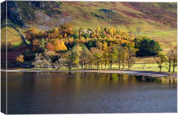 Autumn In Buttermere Canvas Print by Steve Smith