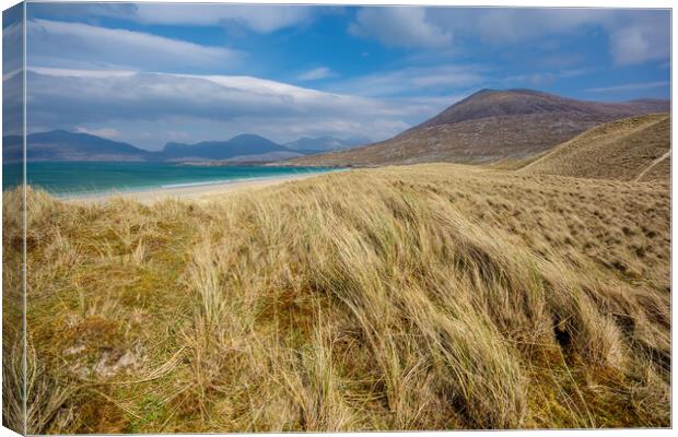 Dunes Of Luskentyre Canvas Print by Steve Smith