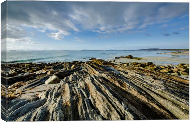 Berneray Canvas Print by Steve Smith