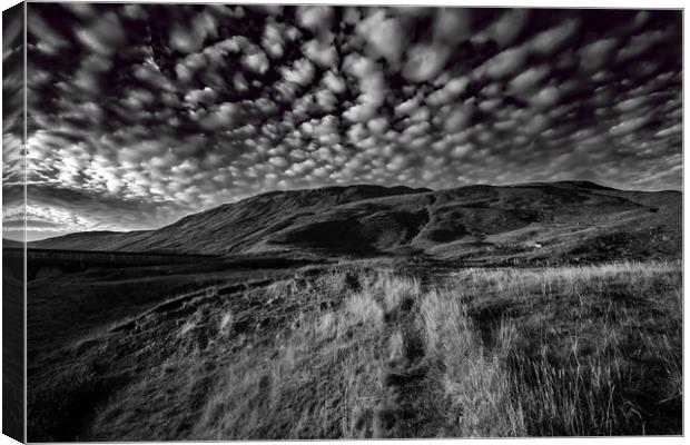 Glen Lyon Canvas Print by Steve Smith