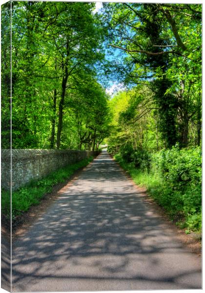 Tranquil Pathway to Easby Abbey Canvas Print by Steve Smith