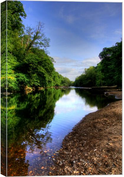 River Swale Canvas Print by Steve Smith